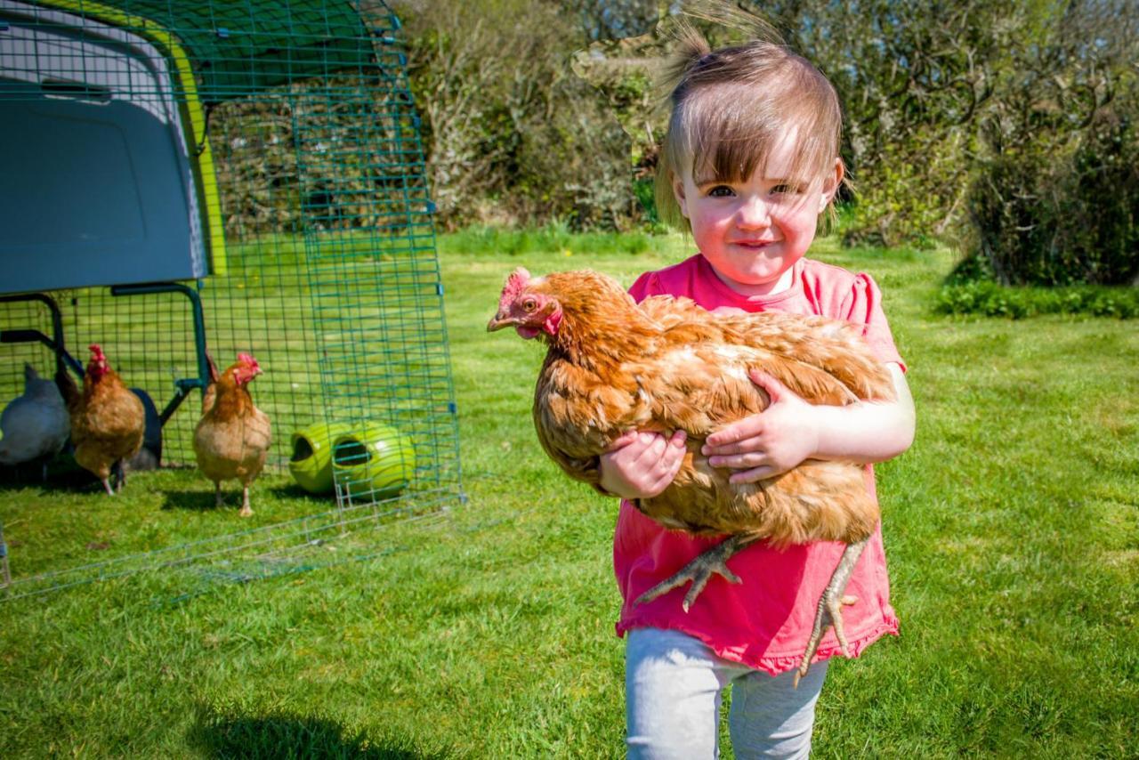 Cargurra Park Farm Villa Boscastle Buitenkant foto